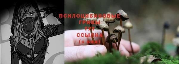 круглые Новозыбков
