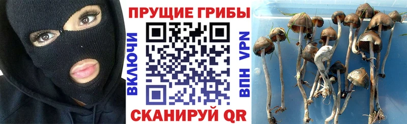 Псилоцибиновые грибы мухоморы площадка клад Усмань